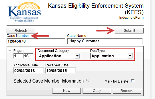 Screenshot of the Indexing eForm with red arrows pointing to the Case Number field and the Submit button. Also a red box around the Document Category and Doc Type drop-down menus, with "Application" selected in both.