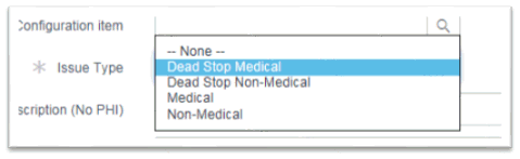 Issue Type drop-down expanded on the Service Now program.